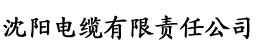 亚洲精品成人在线电缆厂logo